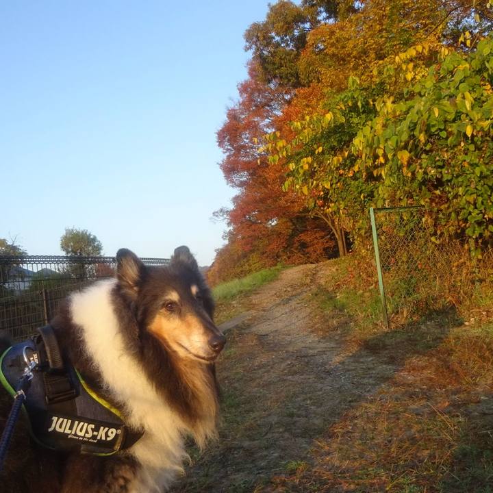 F04e717e de14 4f52 bdf0 fb71a3f9c23b 1605614077484