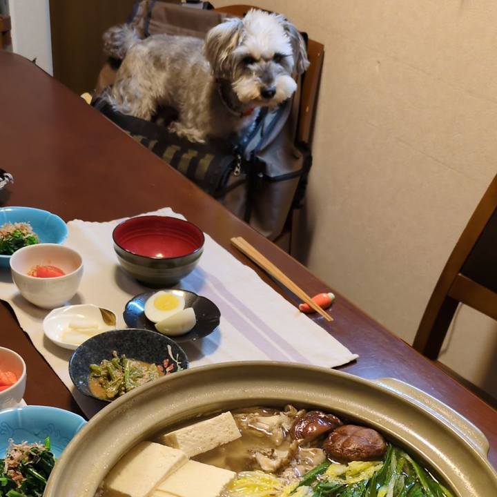 F04e7565 4eb2 4dad 986e 4a7de3077382 1765116901888