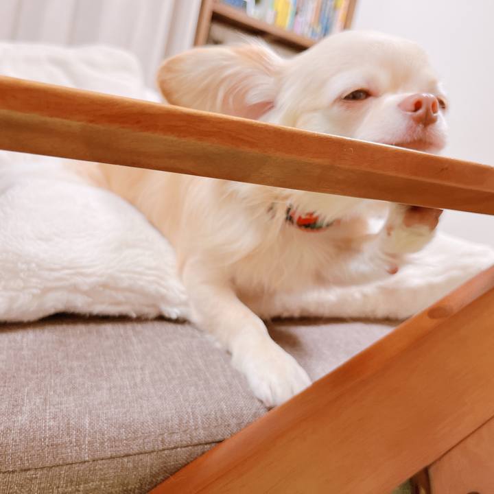 F04ecc45 b148 49ed 86ed c660f2009bd6 1669880646119