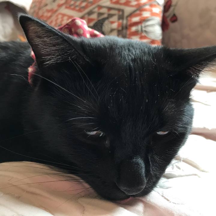 F04f1225 f1f4 4e41 b4a3 5a7d71e0778d 1601700395029