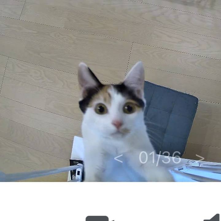 F04f26fa d245 4166 9d3a 7c8672008833 1769229952648