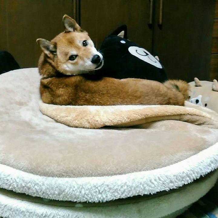 F04f29d5 a855 4f72 a470 e6b4b5eee092 1571232600743