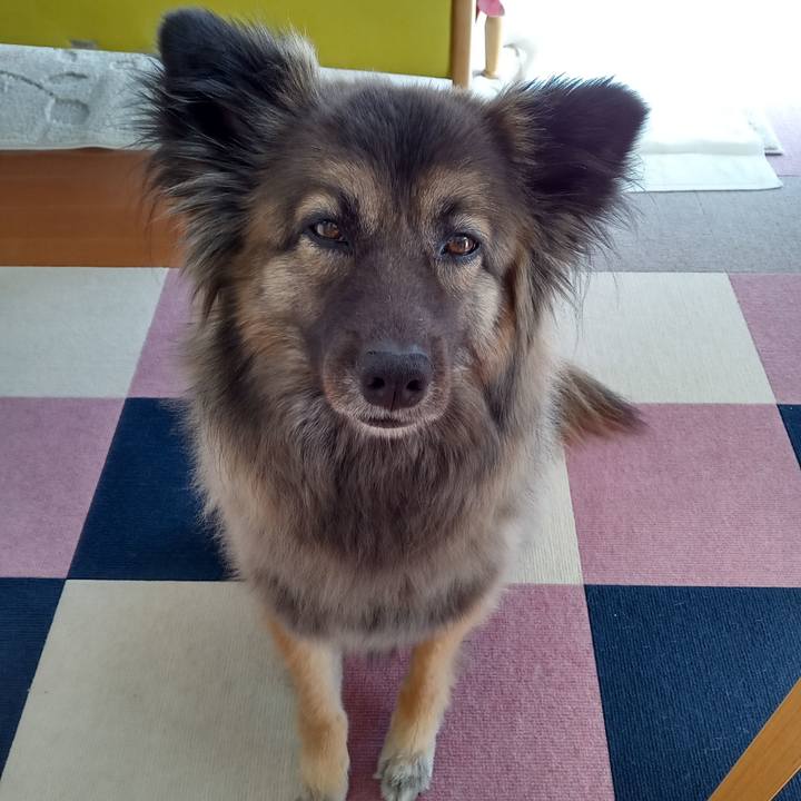 F04f39d0 b207 4bb9 9396 c3b28348df88 1773969894106