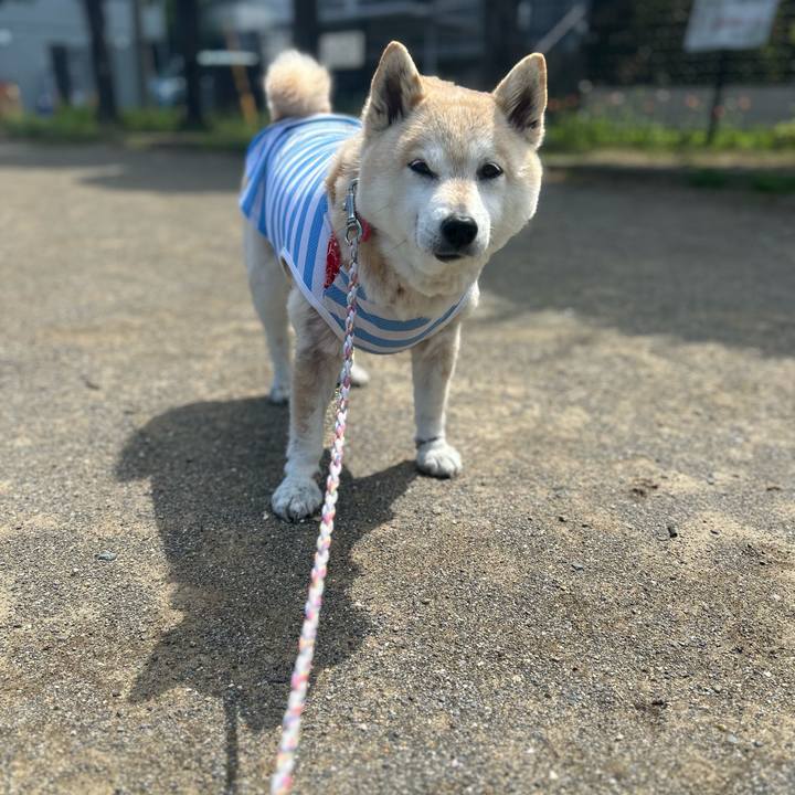 F04f4211 a9e9 46a0 b041 a13ab052bcfa 1745901061413