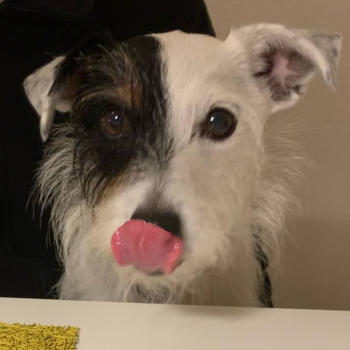 F04f811a 3ea5 4926 9a29 54f5b24ba51c 1638003855338