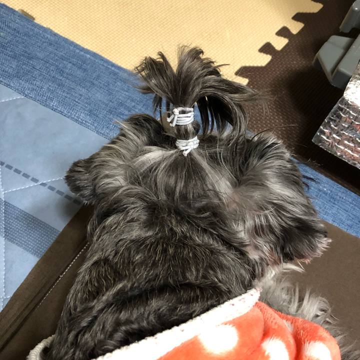 F04fbb3e 5237 4ee9 a458 e17cfbec7e7c 1705925796809