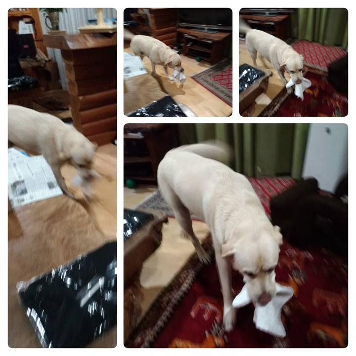 F04fc6eb 971d 461d 8182 e38c74fa701c 1625939496856