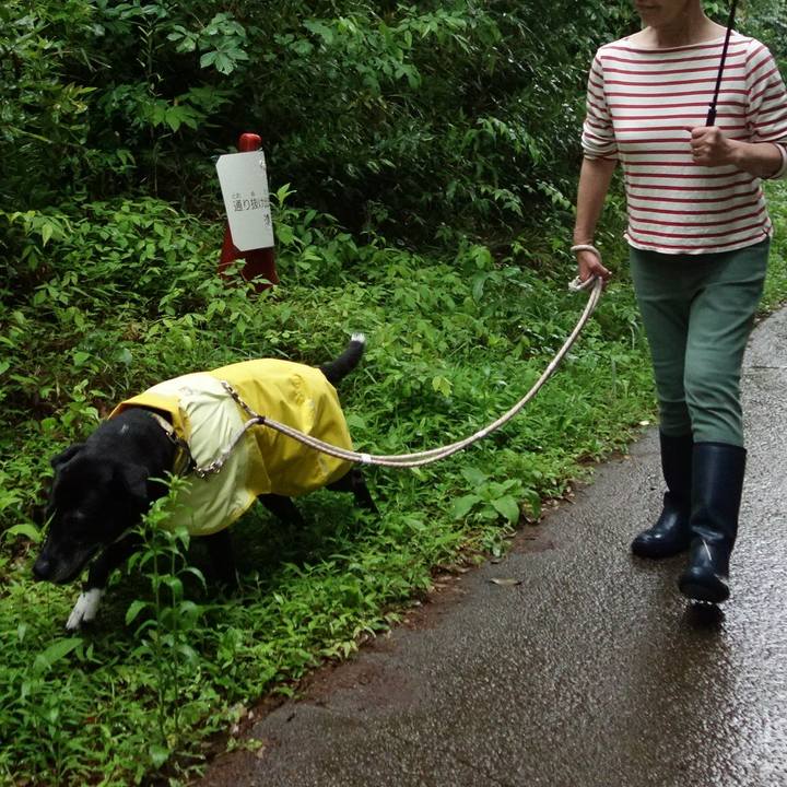 F04fd22d 415f 4a88 a7b6 4e25d55ba458 1747439284883