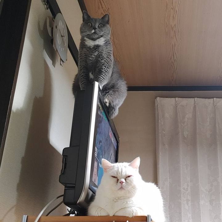 F04ff5c1 72c8 4426 8826 aa5d70da6dda 1671365988240