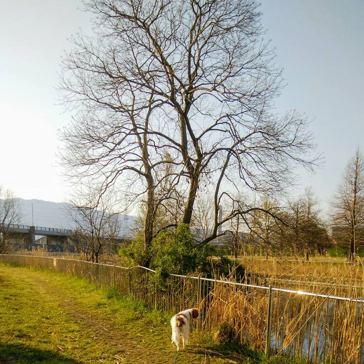 F05034a3 9ea7 4d60 bc9d 20e6e9fa9dc6 1554257847096