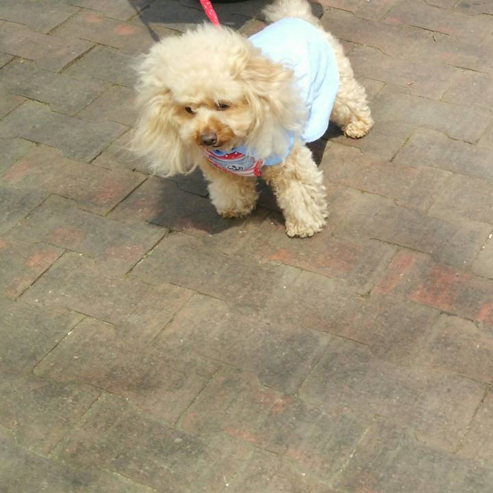 F050530a 70bc 408a 8eee 9cad3be854bd 1555748578974