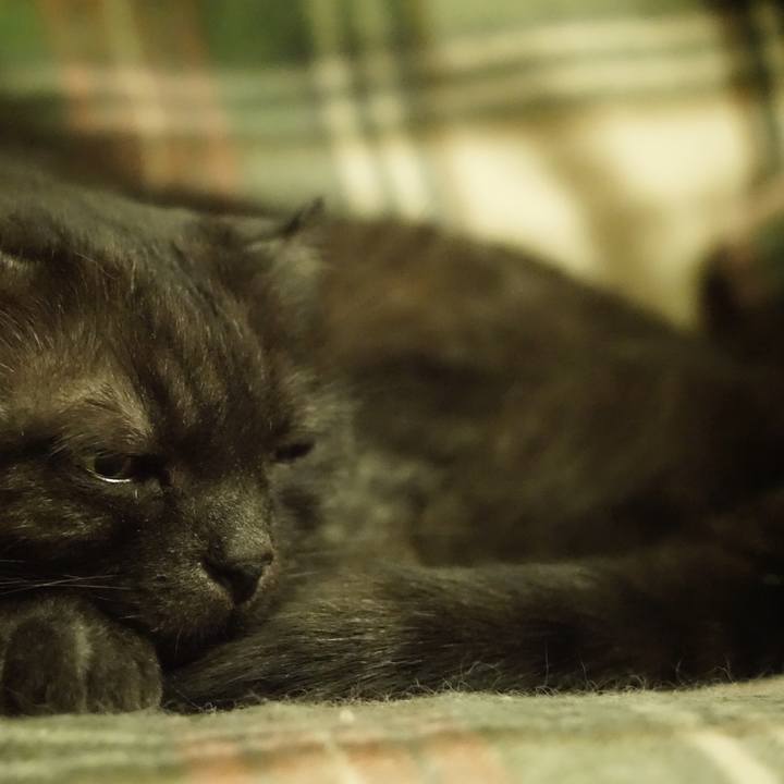 F0505d6b 440d 4295 85d7 40386bf80741 1560529264072