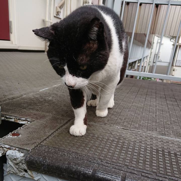 F05081ff d09d 4b97 936b df22e45fb5d9 1593730766359