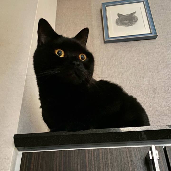 F05083df 806b 4478 acd0 111d665f66d9 1714172874143