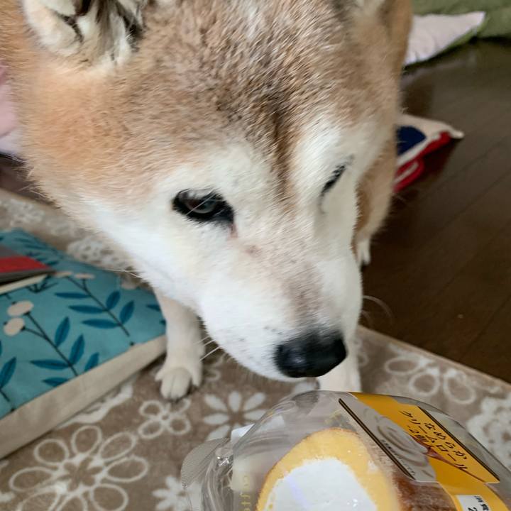 F0508c04 338c 45eb b300 c5ba65ea0011 1660536395626