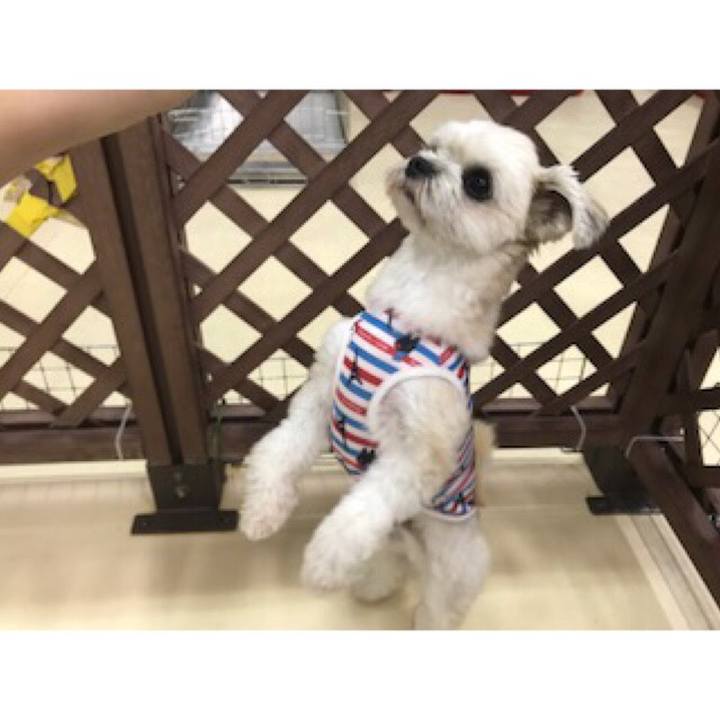 F05092e4 c7a3 4921 9966 5a17b2a254d8 1537266968838