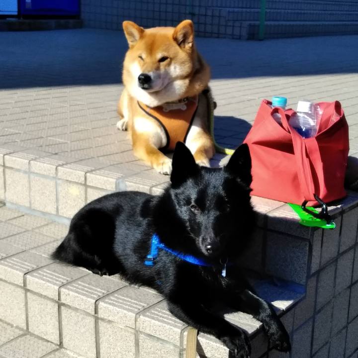 F050aa88 d028 4641 a566 7e510461564f 1555113327644