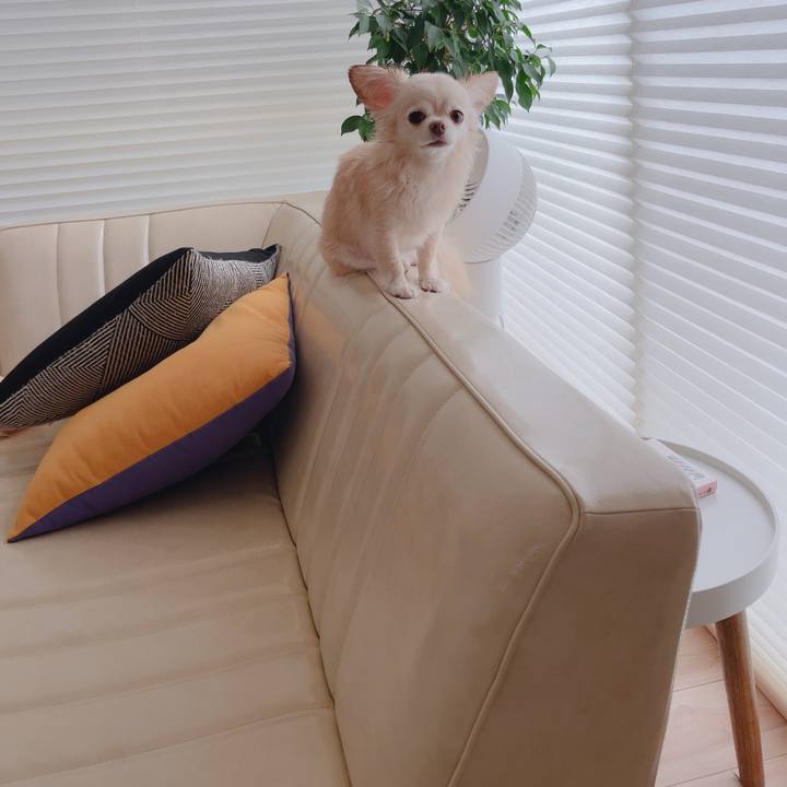 F050e629 a39f 49c3 abda a538d3b544ee 1761971031120