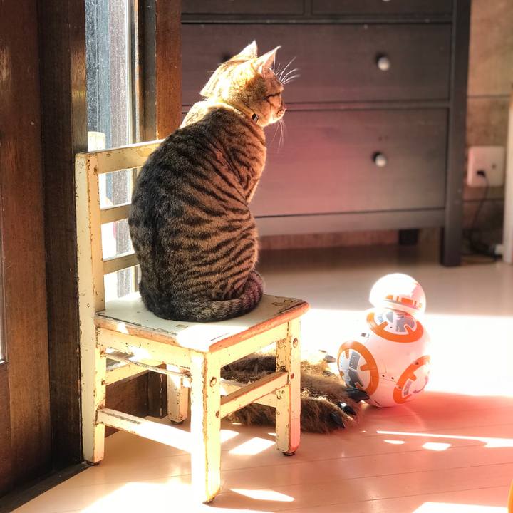 F0511618 13f0 4a98 8bd5 8d9c94a062f8 1520838011190