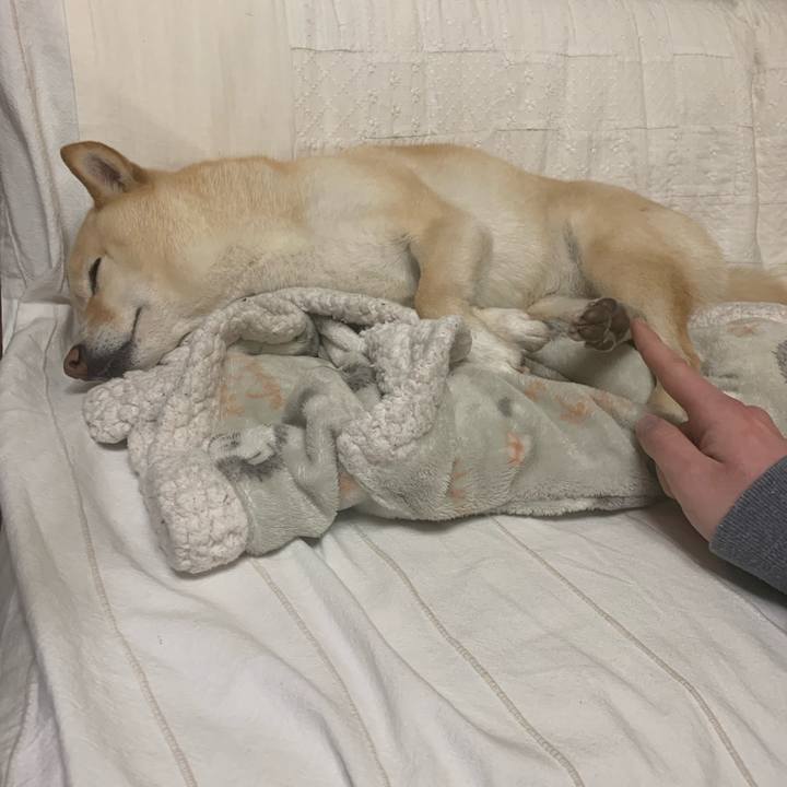 F051319f a6e7 484a 9172 1dcd73e3fa96 1644145961755