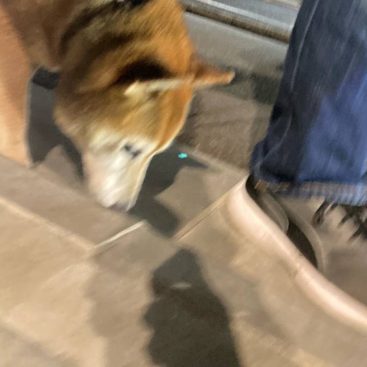 F05181e9 315d 47b0 9d89 4c4a2412a423 1699357696509