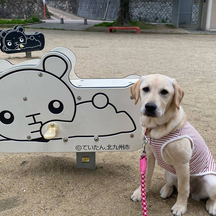 F0518ede 6500 4e20 a1fa 0a5c33fda5fb 1620394093267