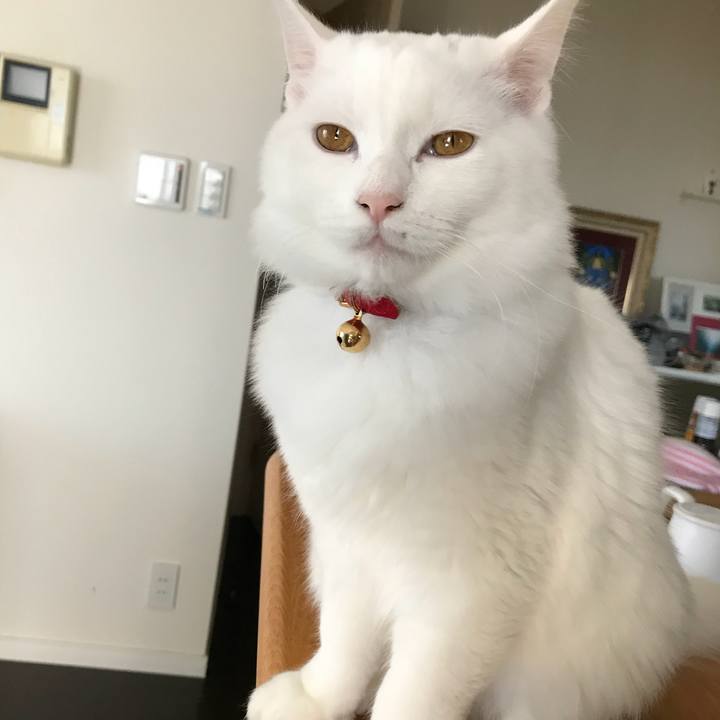 F051c2c3 ad21 446b a72b 75c375c90689 1515205314110