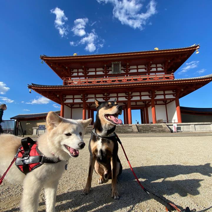 F051de29 45d5 4a07 97d8 57d7f53d3dc9 1666167487918