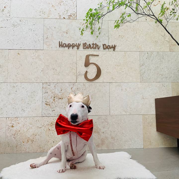 F051f35f e75c 47ad b208 2b0d603dfc8e 1598074289070