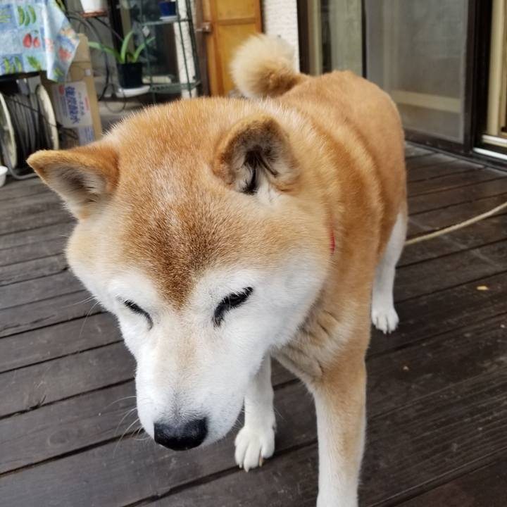 F0520991 21bf 4341 91c8 6ed3f8689e85 1714435442345