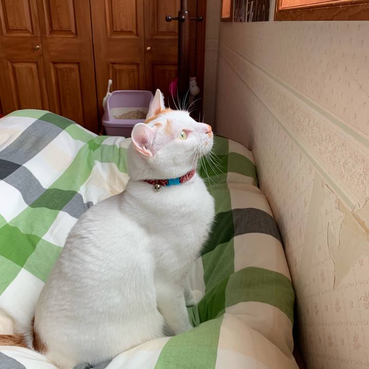 F05211e9 9f1e 4160 9dbe ed9f296597b3 1556494579168