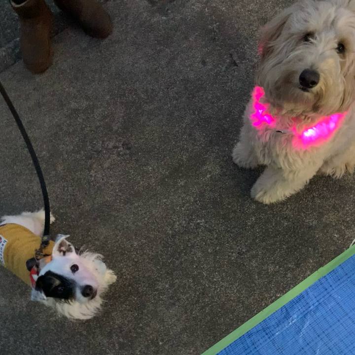 F0523430 b3b8 408b 8ec3 3a41b8b4e672 1701764331568