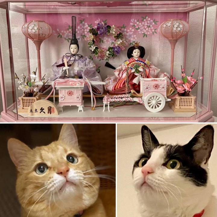 F0524ae8 246a 4547 b5b2 6e4d87abba32 1709425558300