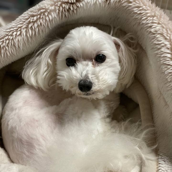 F0527477 cccb 4ab6 98ed 98c6915b5d33 1603951720032