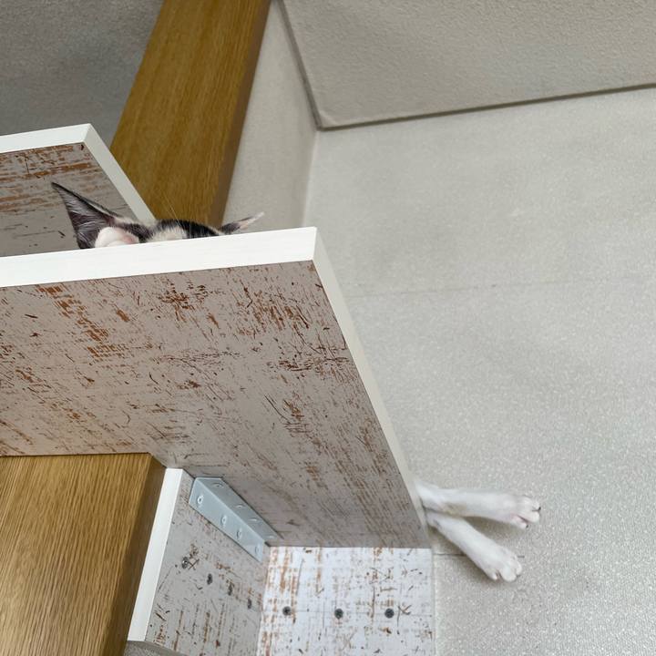 F0527942 94b3 4c81 9754 00ccf5e7fbcc 1659048230614