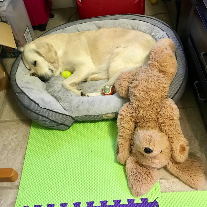 F052aa0e 998d 4e44 a7f1 623061c9c63c 1549949616789