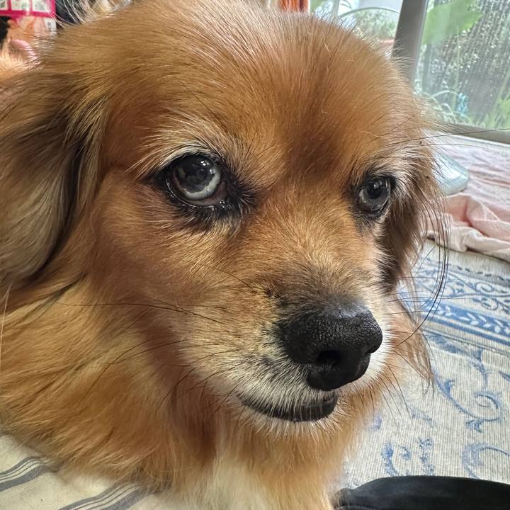 F052bf65 35bd 4b2a 9411 672e921712bf 1758324884889