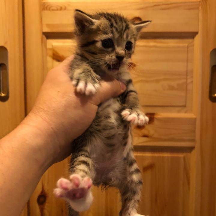 F0530b44 0ae4 45aa 99b4 7d20f3b3263d 1602249391193