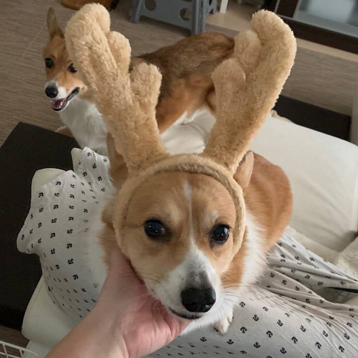 F053180d 61be 4635 8745 2c14defc9dcb 1577191605313