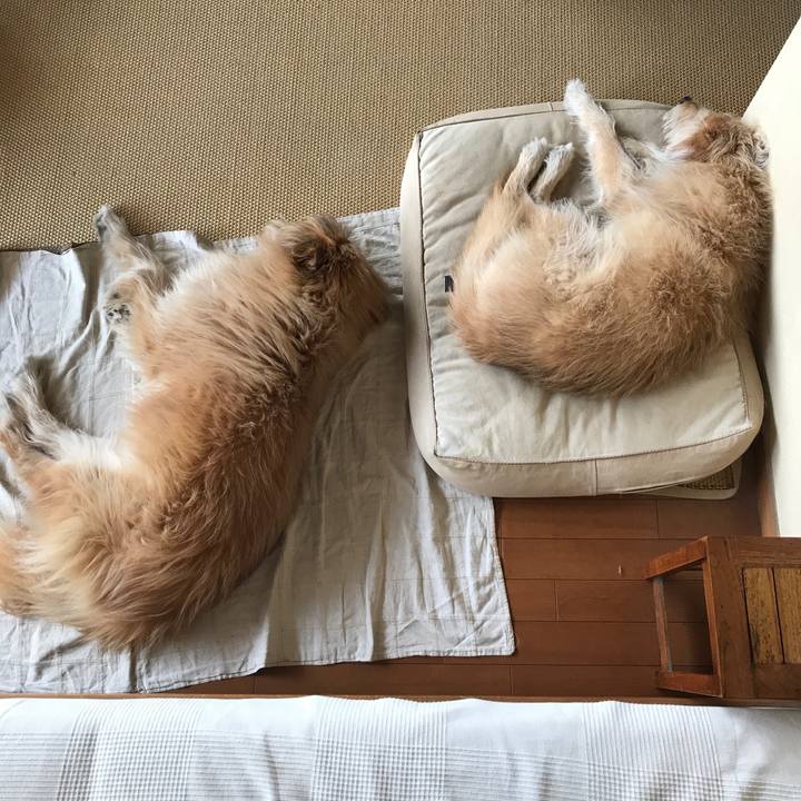 F0534545 0e33 446f bea3 f095d512a597 1550293879405