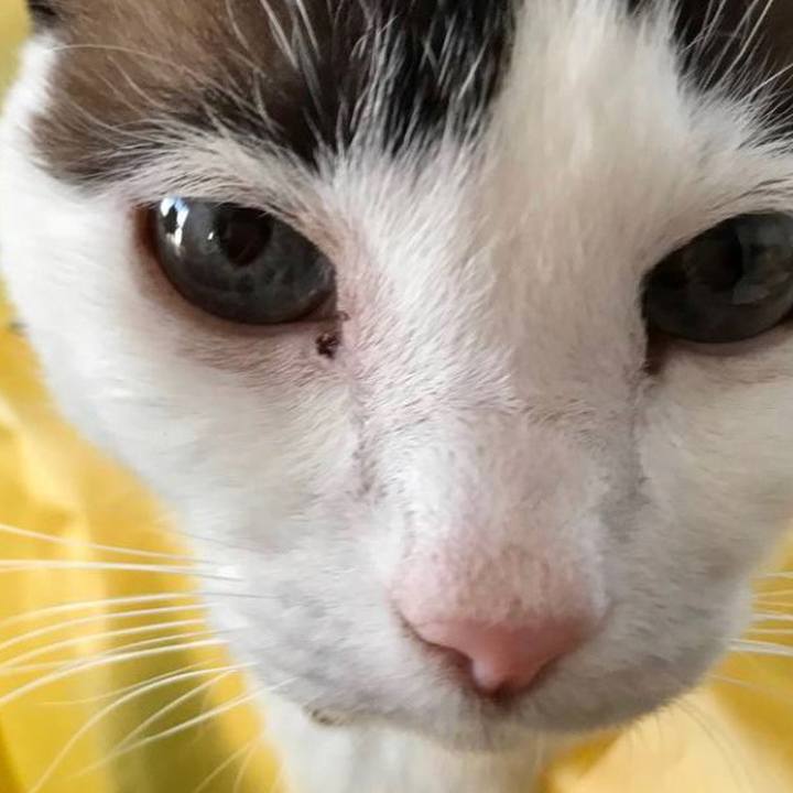 F0534c75 8f18 4956 9e16 a7ed5b6df603 1681021579105