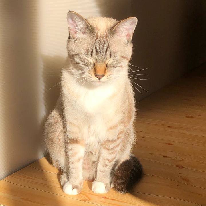 F05378de 73e9 47f9 b129 73b55f3a8ea2 1636882196011