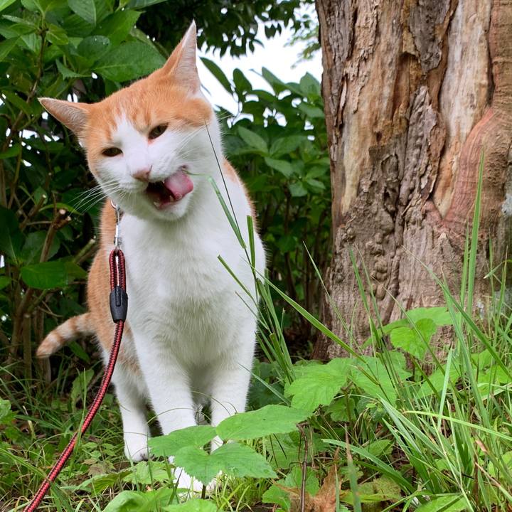 F05394c6 49f1 4c24 8ae7 e3d0b9fcda30 1594109055249