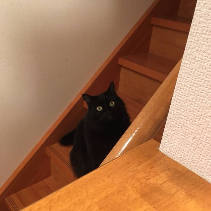 F0539da4 cc2c 4e60 8821 5155052be2ca 1513940448670