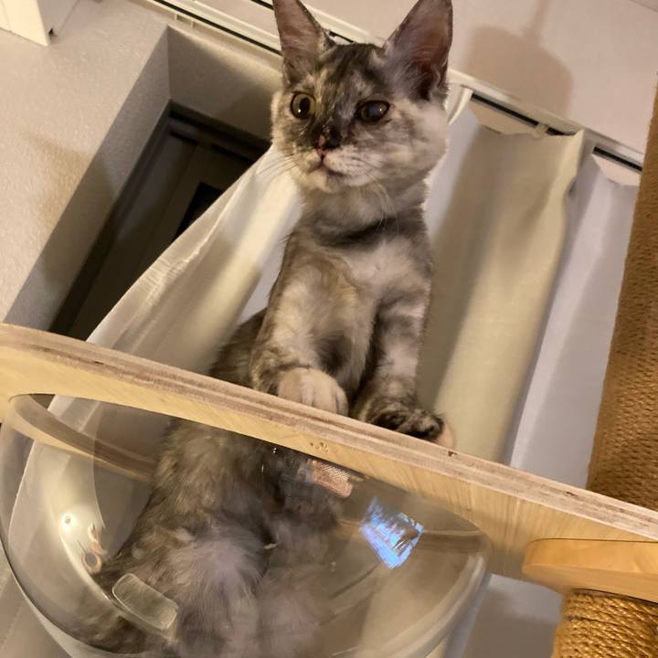 F053b9a2 6883 47f1 a014 b0dd5bf15917 1697285033441