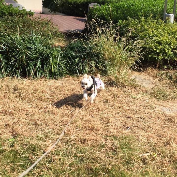 F053dedd 461e 4c62 b80a c44ac8c7f5e1 1540709466728