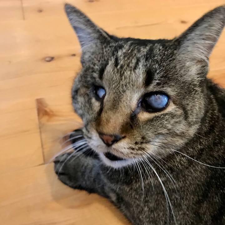 F0541d61 c3b3 4238 9f72 3dbe8767789f 1588039772601