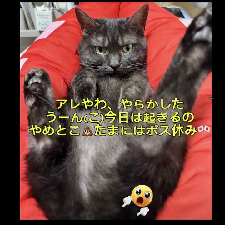 F054244a 30ae 495f 99f6 4ee2a21ce6d0 1769866696722