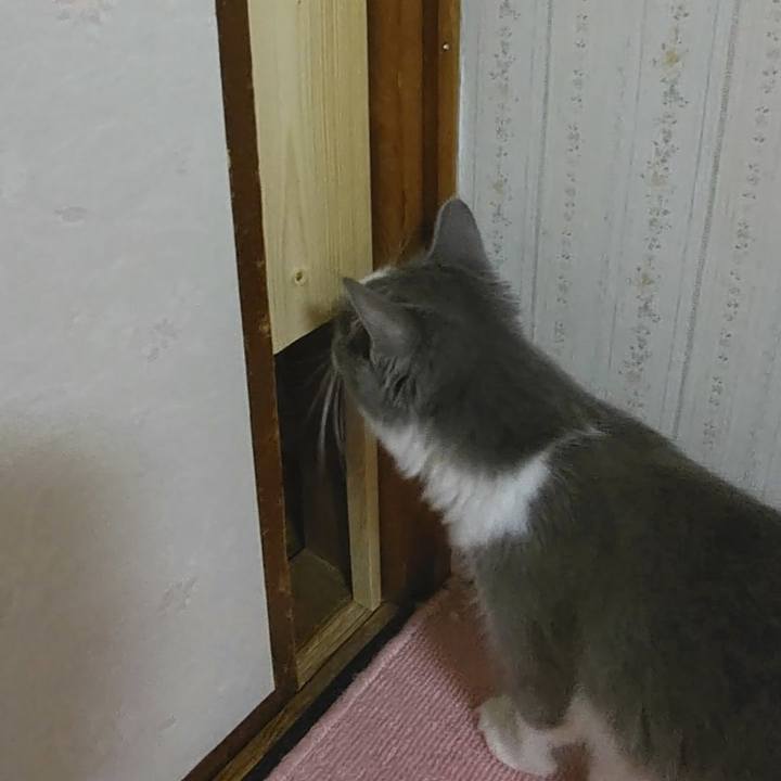 F0544b2e f873 4ca8 aed7 51e034ca039e 1571044635443