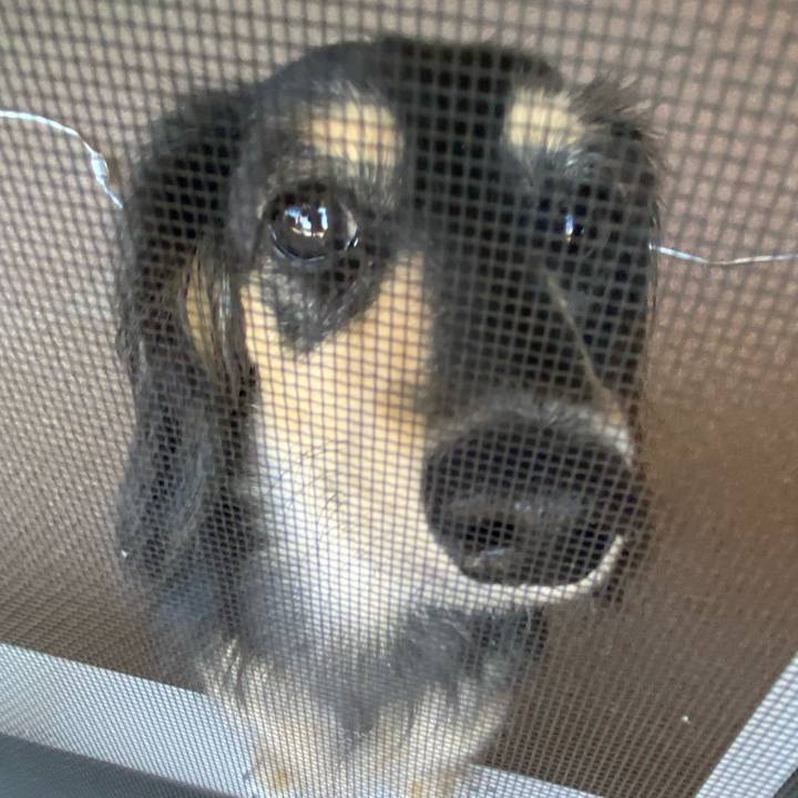 F05476f2 e864 4a83 ba40 b6ebc9b28247 1723851790885